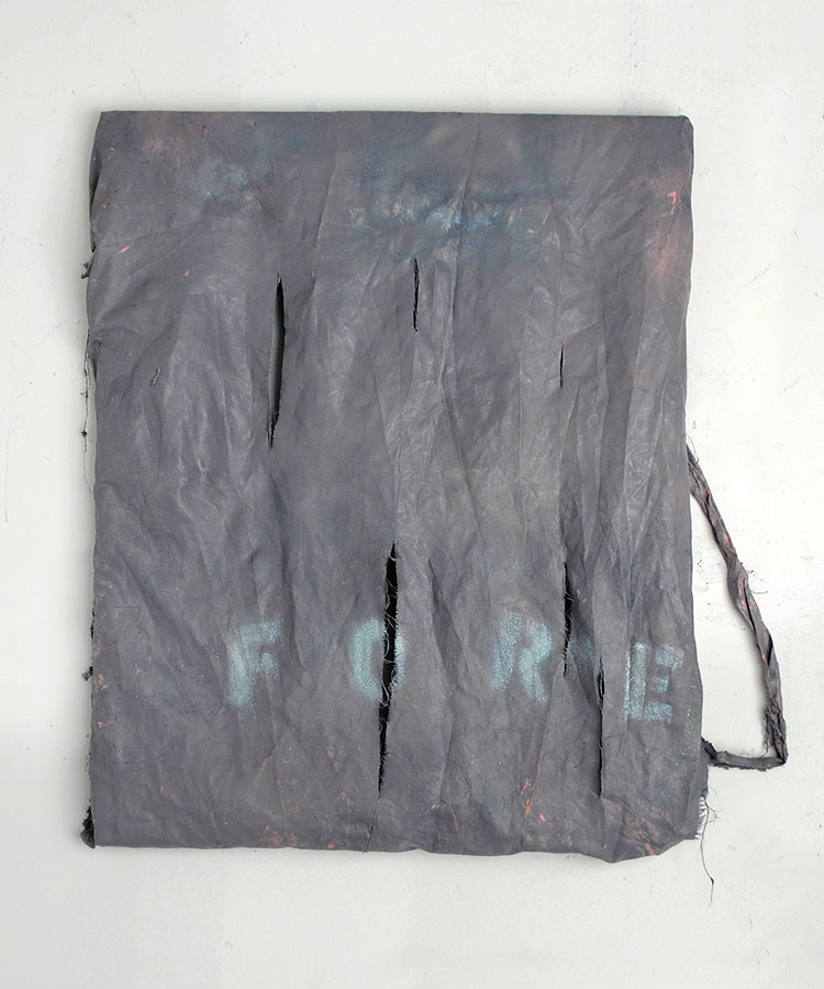 Jane Fox Hipple, Fore, 2014, acrylic and enamel on polyester 20 x 19 inches
